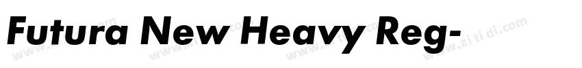 Futura New Heavy Reg字体转换